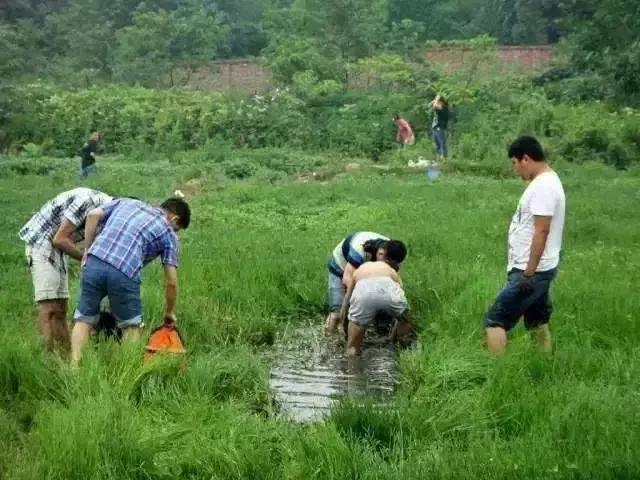 自己种菜省钱方便,自己种菜又方便又放心