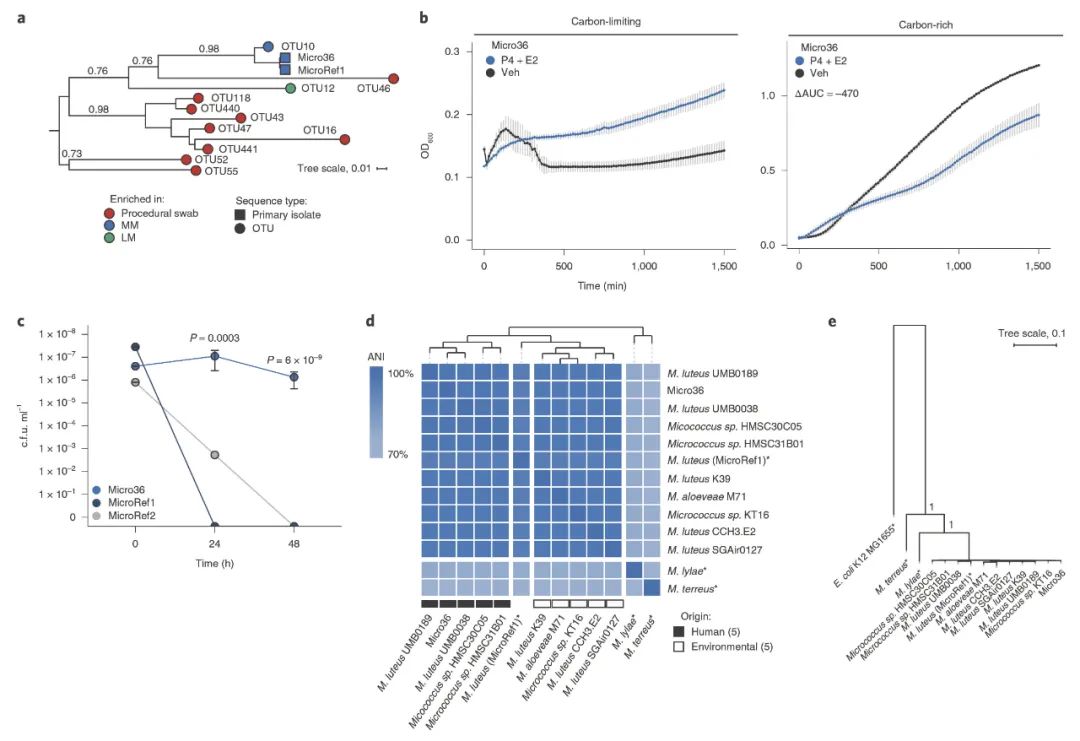 哪些菌可以在肠道定植,活菌在人体中可以存活吗