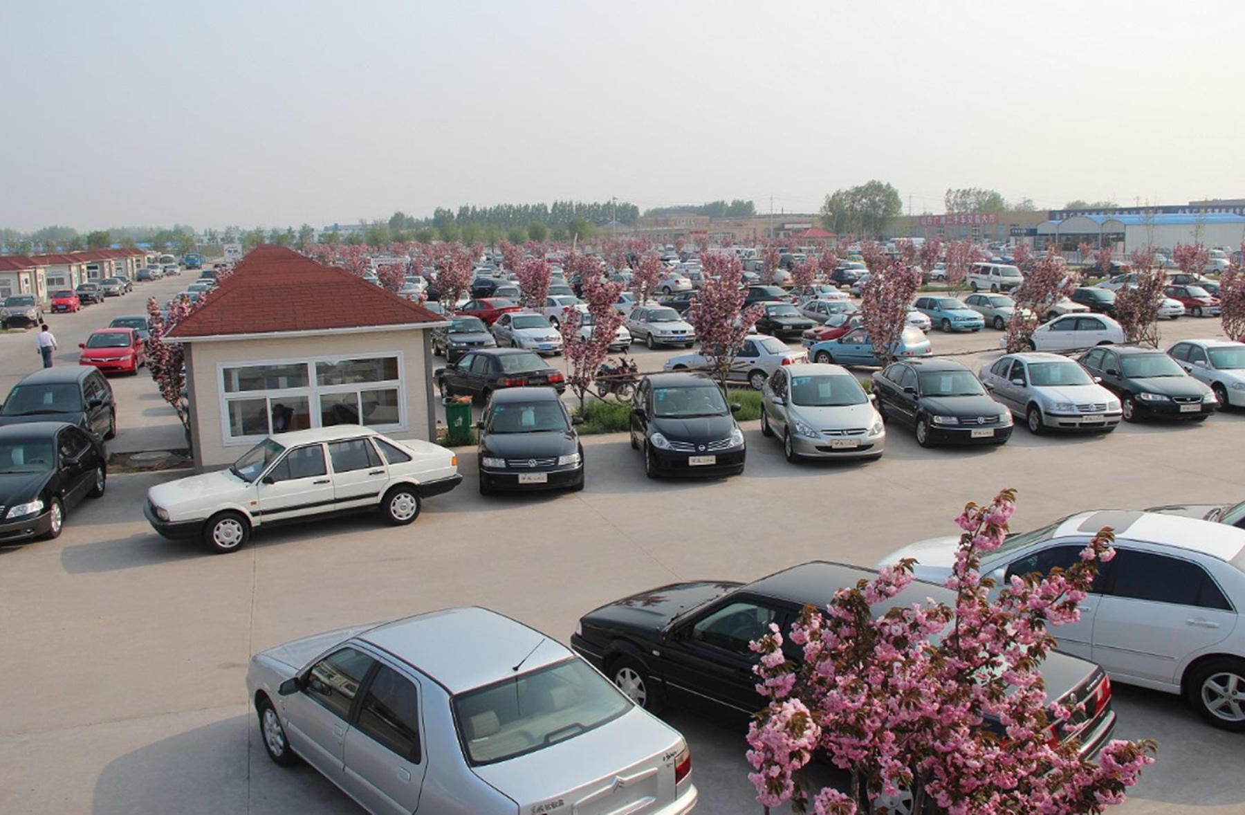 北京十多年的二手车为啥这么便宜,为什么二手车几千块就卖