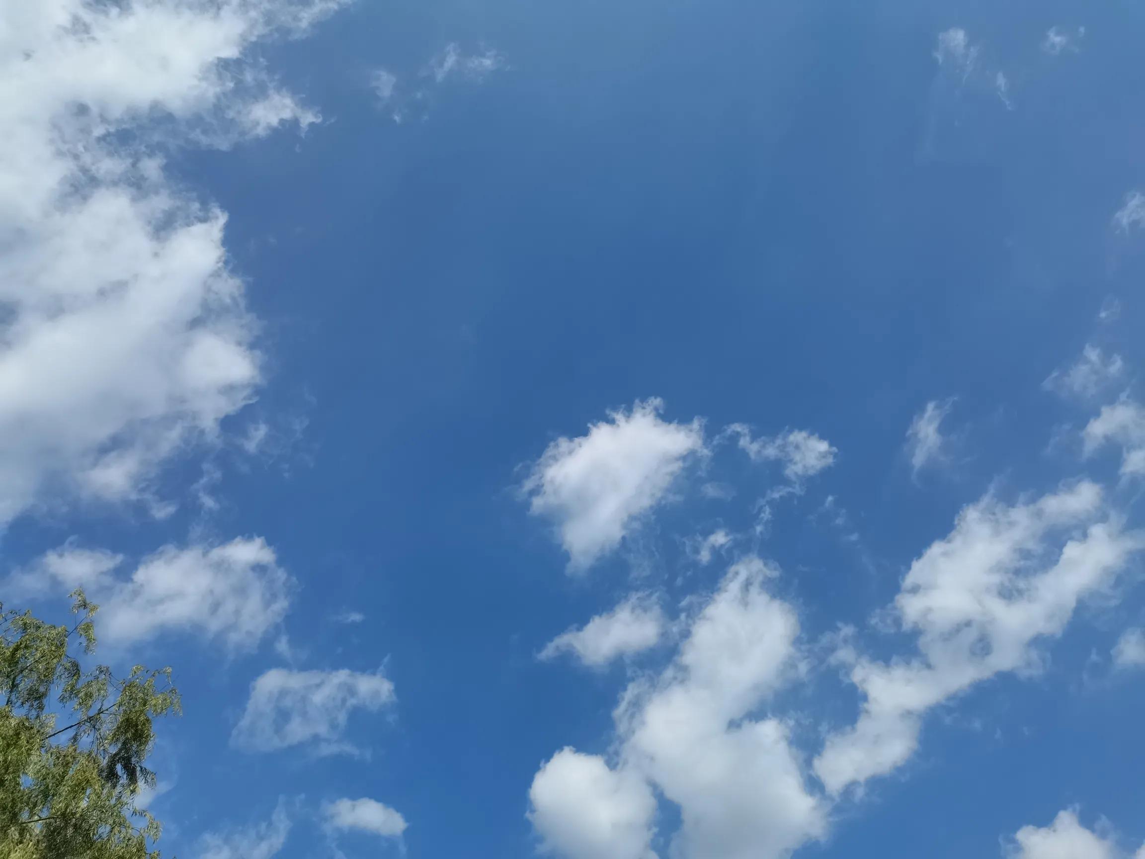 又是一季烟雨,妖娆得让你来不及拂去洒落一地的苍凉