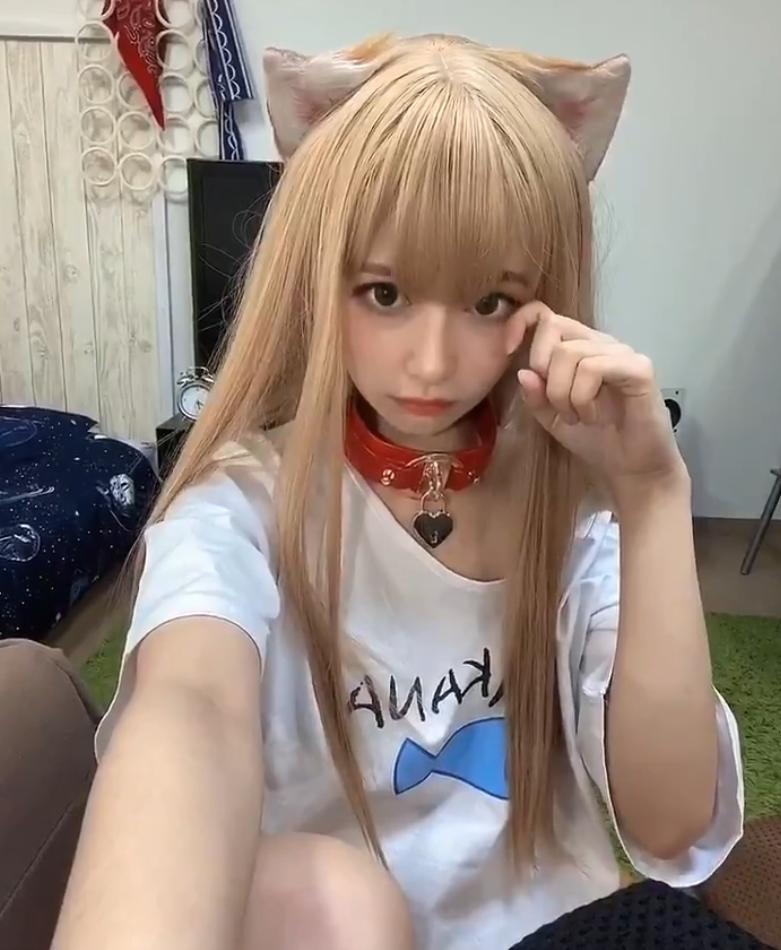 可爱的猫耳娘建模,虚拟猫耳娘形象