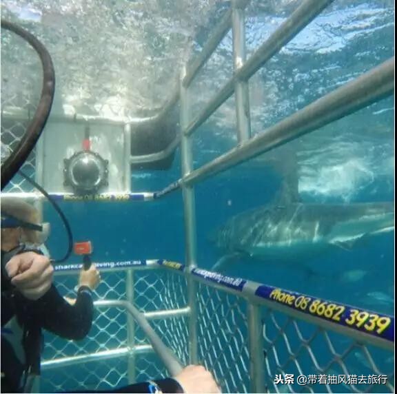 澳大利亚极致之旅,来澳大利亚必买