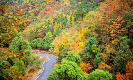 来义乌十几年没发现景色这么美,义乌值得去的自然景点