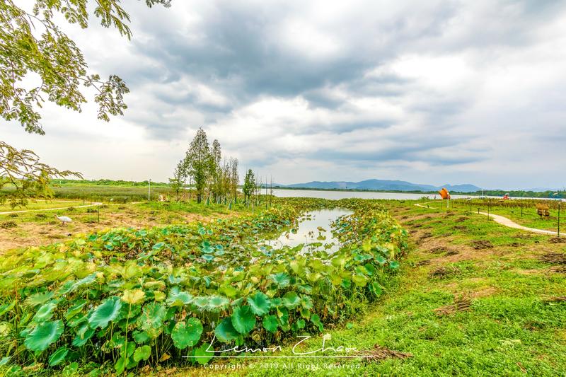在德清下渚湖体验江南第一扳网捕鱼,水上竹筏漂流看夕阳,太美了