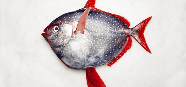 夏威夷热带之旅,夏威夷旅游之旅