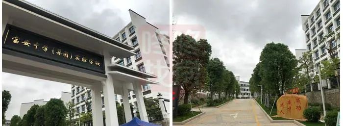网红片区新楼盘,高端商住区旧改