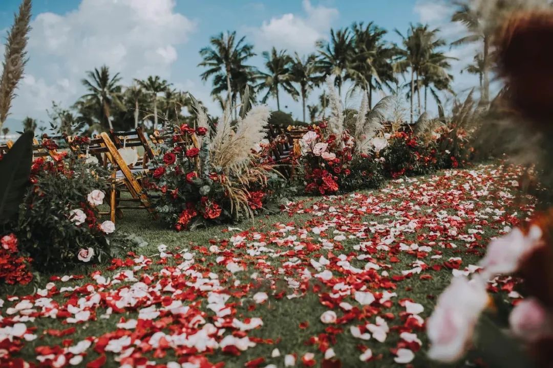 如何办一场小众精致的户外婚礼,清新而又浪漫的户外婚礼