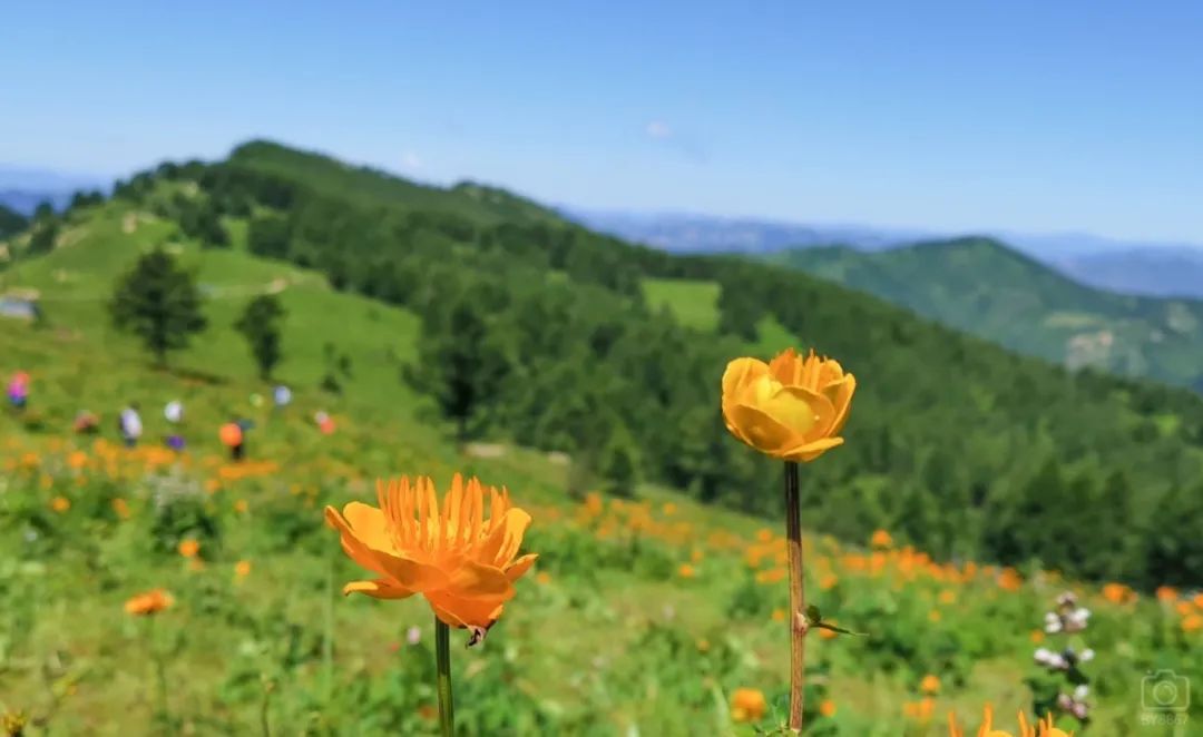 徒步穿越北驼梁完整版,穿越花海古道游记