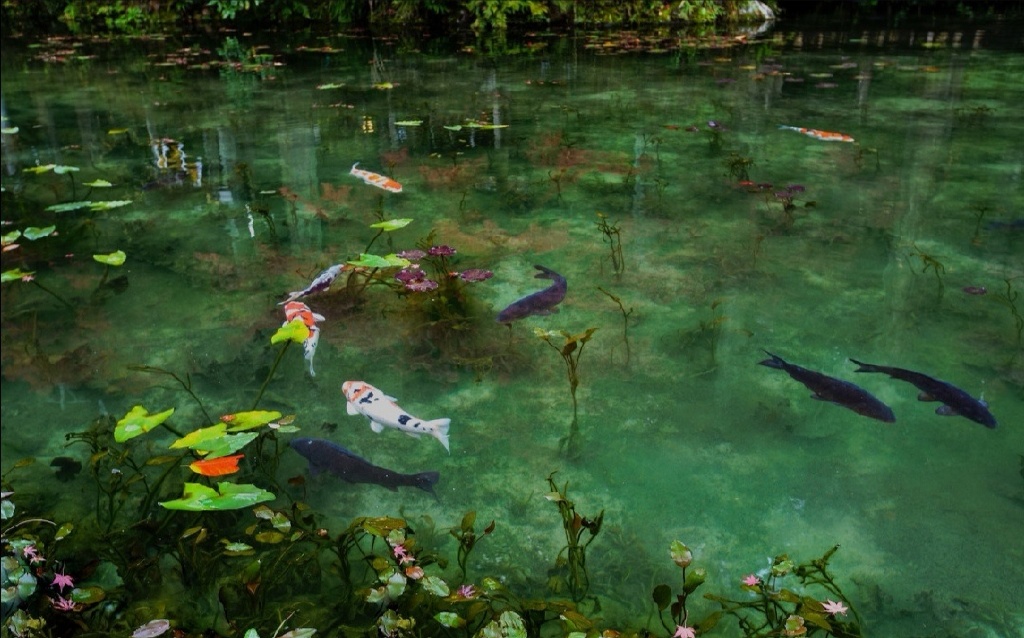 托福口语考试中的高频短语精选,雅思托福口语话题答题技巧