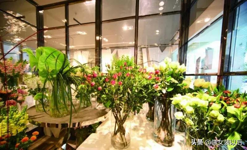 淑女坊和阿依莲哪个品牌好,淑女坊和阿依莲哪个档次高