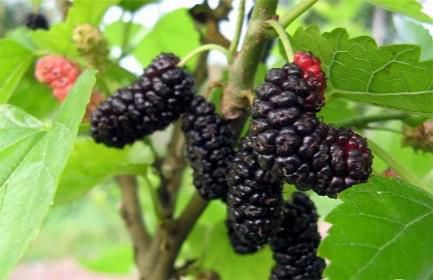 南昌vr产业大会直播回放,江西南昌vr大会在哪里