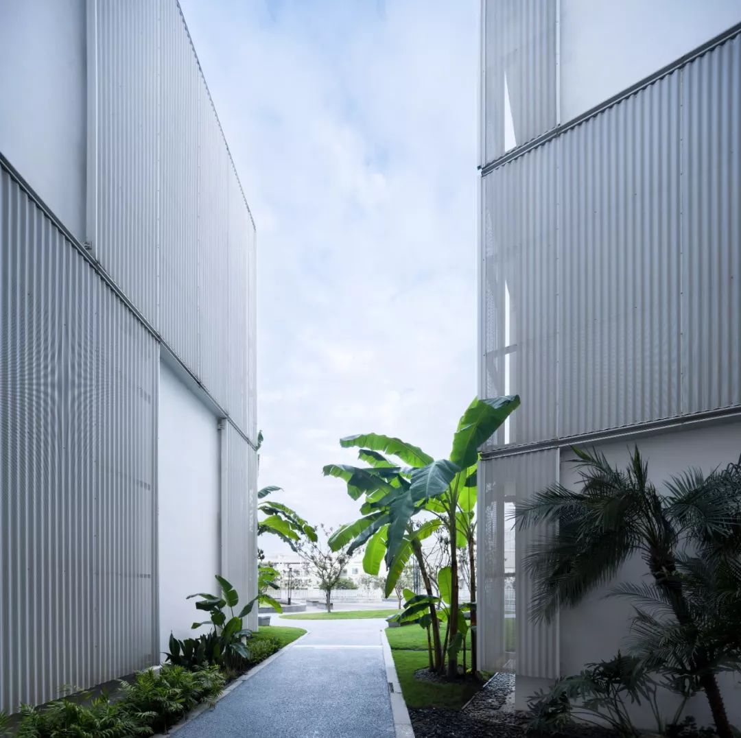 重庆南开两江学校图片,重庆两江中学学校环境