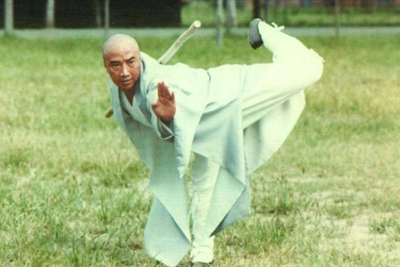 于海和吴京对打螳螂拳视频,于海螳螂拳速度