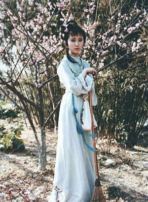 红楼梦中林黛玉的惊人之处,红楼梦中林黛玉为什么又称为平儿