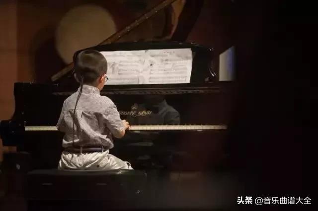手特别小适合学什么乐器,手小是不是不适合弹钢琴