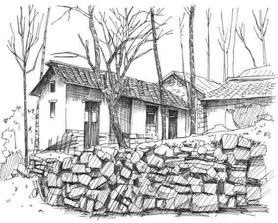 速写风景初学者入门教程,速写风景初学者入门教程植物