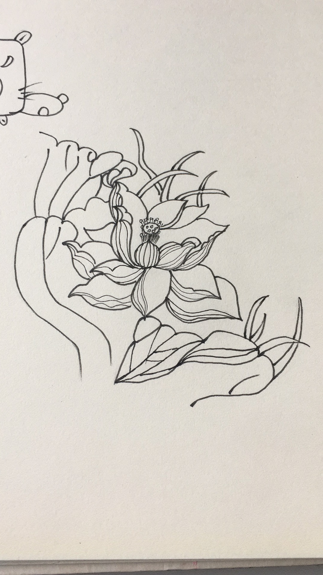 荷花简笔画10000例图片,蜻蜓的简笔画和荷花的简笔画