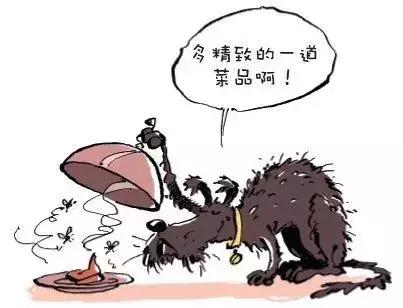 狗狗吃便便的5大原因,狗狗吃完便便才发现要怎么纠正