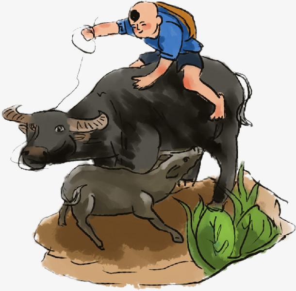 致敬项海王，股生PPT