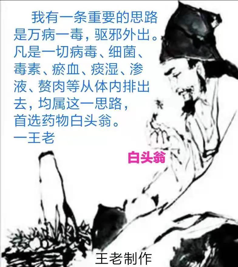白头翁汤经方,经方快刀