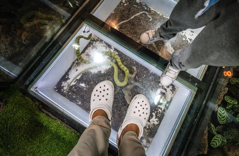 厦门冬春攻略,夏天厦门旅游攻略美食篇