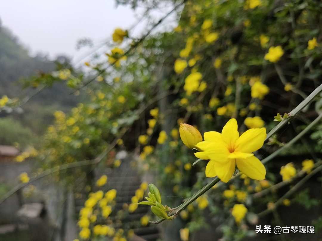 眼睛又酸又涩老感觉很累怎么回事,为什么老是觉得眼睛很累和很困呢