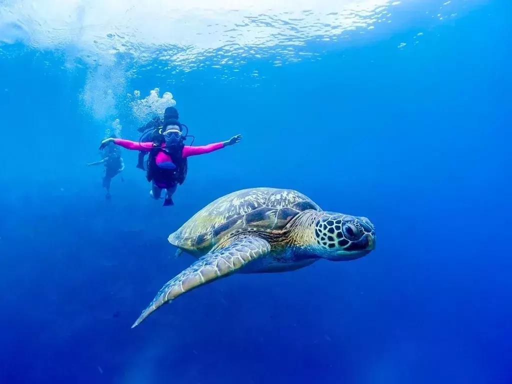 我去了一趟美娜多，免签直航，海岛风情悠哉生活，舒适100分