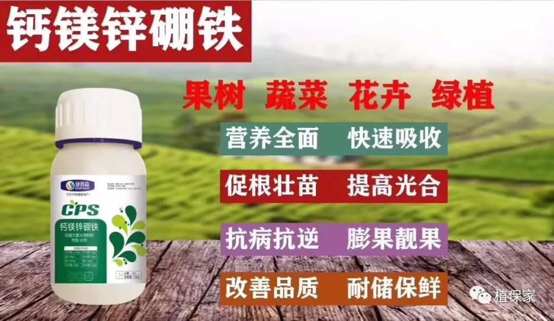 钙镁锌硼高产,钙镁硼铁镁什么农作物可用