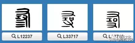 关于汉字姓氏的知识,姓氏文化汉字展