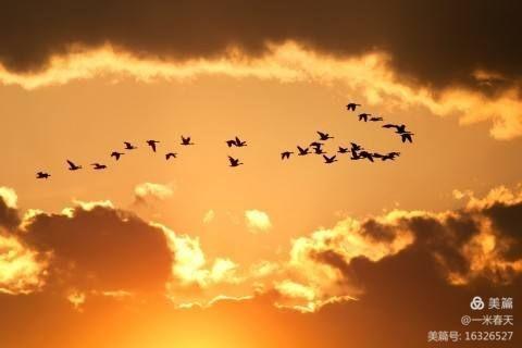 春哥播报原创小说：男生旧楼的回忆（一）