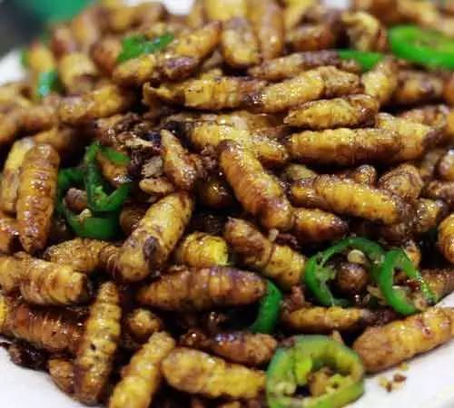 广东人一日三餐美食,广东人的日常美食生吃