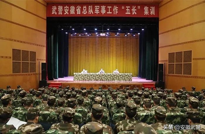 纪实视频,记实记录