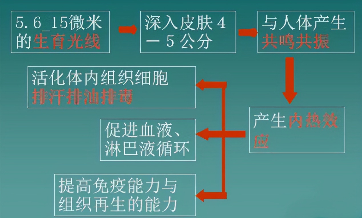 光波房移动汗蒸房,家用光波汗蒸加热设备