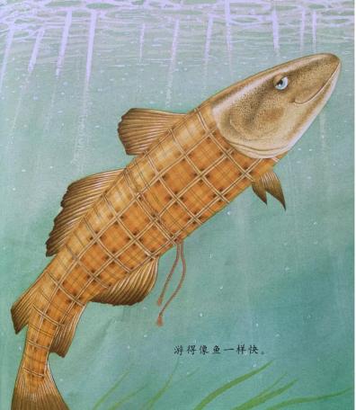 绘本我爸爸示范讲解,绘本我爸爸简介及推荐理由