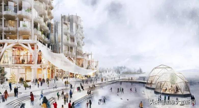 疫情下加拿大国民品牌破产Google未来城泡汤全都撑不住了