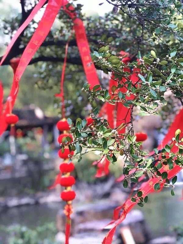 热闹春节行：春节在穹窿山留下的温暖回忆……