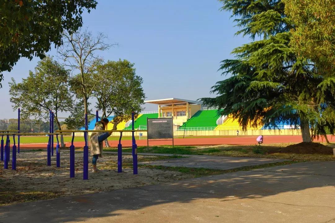 鑻忓窞澶у鏂囨瀛﹂櫌浠嬬粛,鑻忓窞澶у鏂囨瀛﹂櫌鍥剧墖