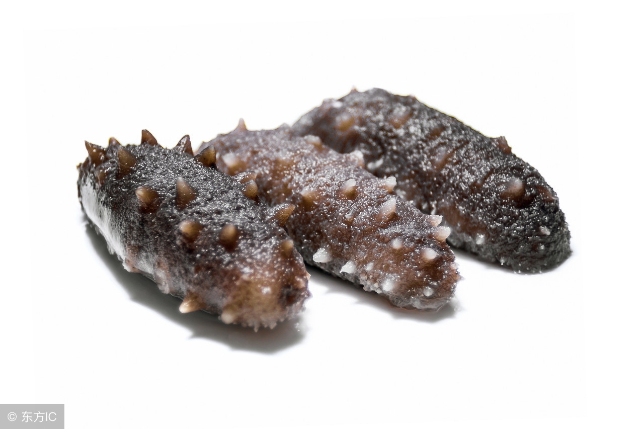 海参的营养价值究竟如何,海参的营养价值真的有这么高吗