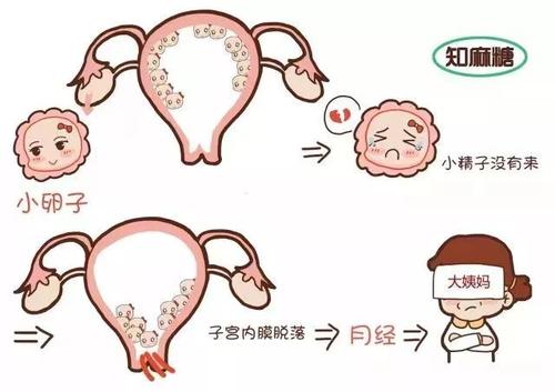 对照正常月经的七大标准，看看你的月经是否正常吧？