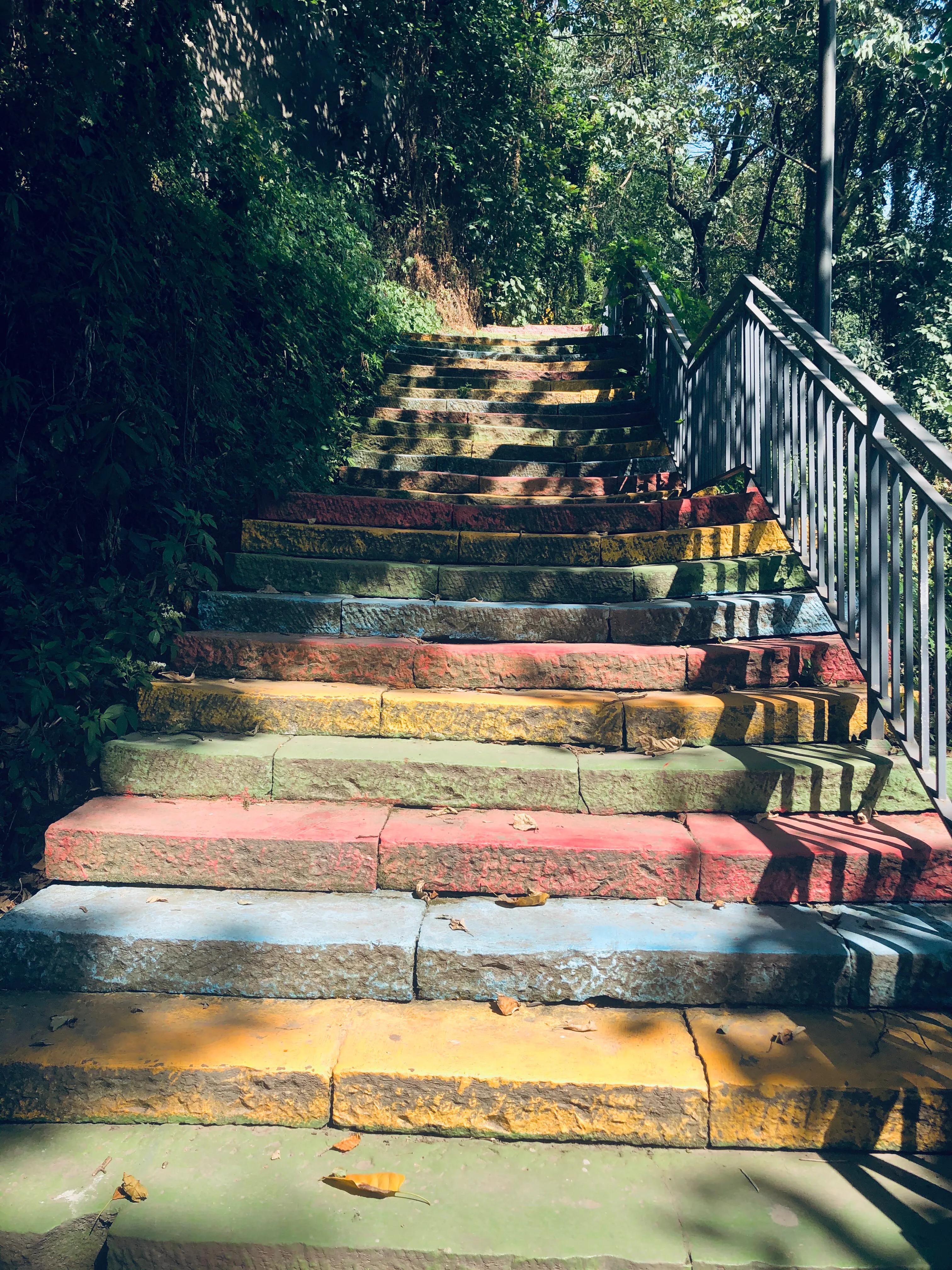 婕閲嶅簡瑙嗛,婕閲嶅簡