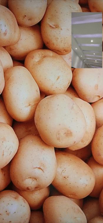 微信更新5大功能,苹果微信更新8.0.19最新版本功能