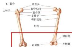 如何跑步才能避免髂胫束综合征,膝盖外侧髂胫束疼痛跑步怎么保护