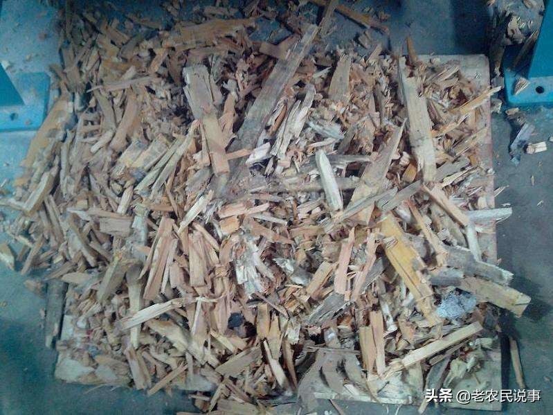 在农村收废铁挣钱吗,在农村收树枝挣钱吗