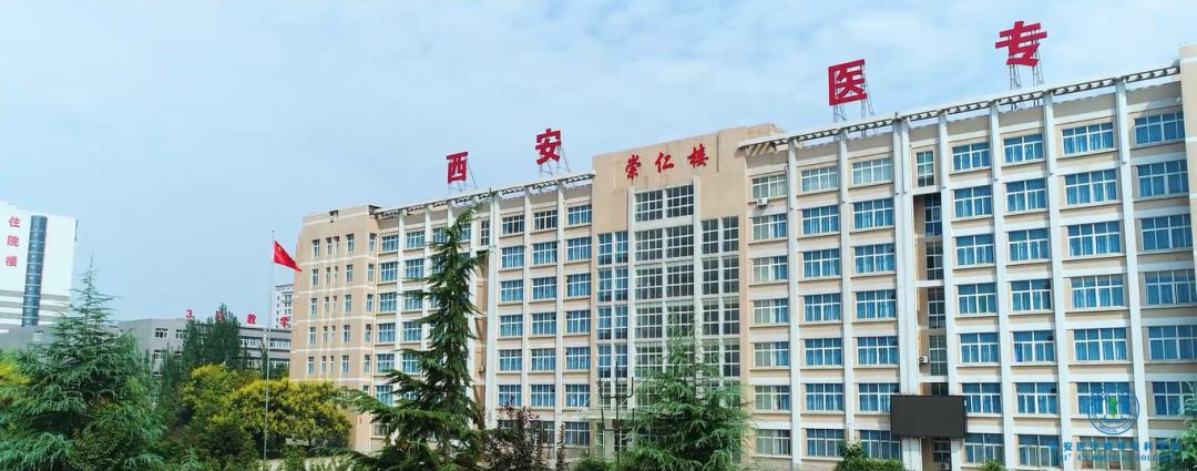 走进医专||按摩师?推拿师?NO!我们是康复治疗师(漫画版)