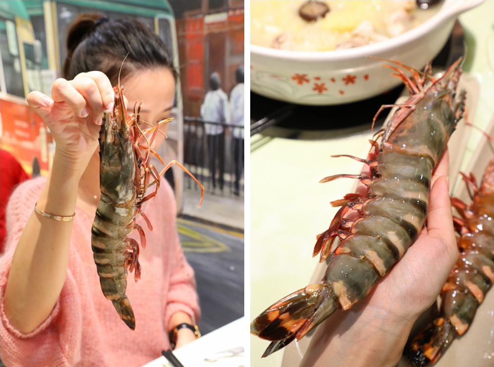 100元鲍汁佛跳墙,鲜伴正宗金汤佛跳墙