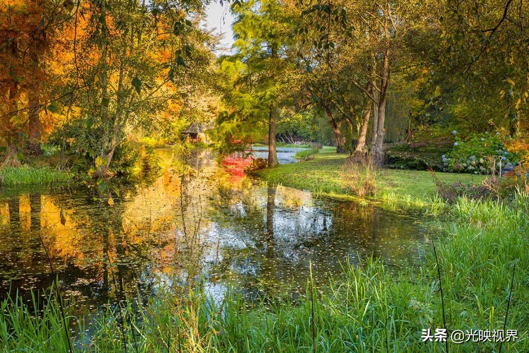 国际花园摄影大赛图片,那些美丽的花园