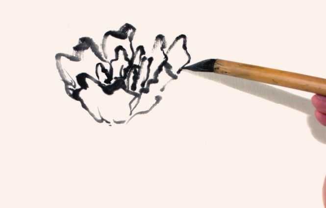 国画牡丹和石头的画法图片,初学国画牡丹花头画法图解