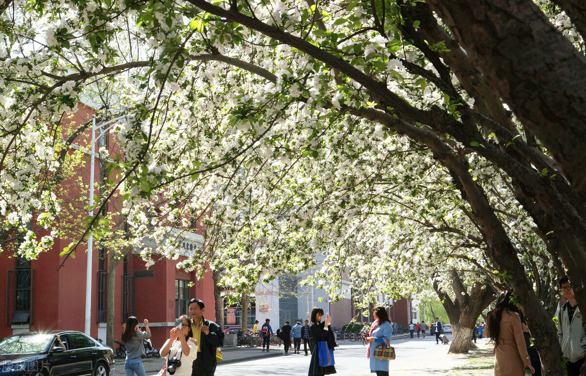 本校生考研再无优势?天津大学王牌专业复试中,本校生全军覆没