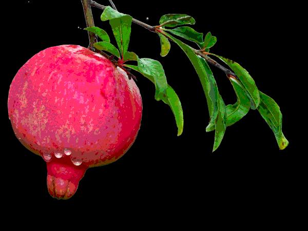 大年初三群相册，有群的都看看，太美了，这辈子见一次值了