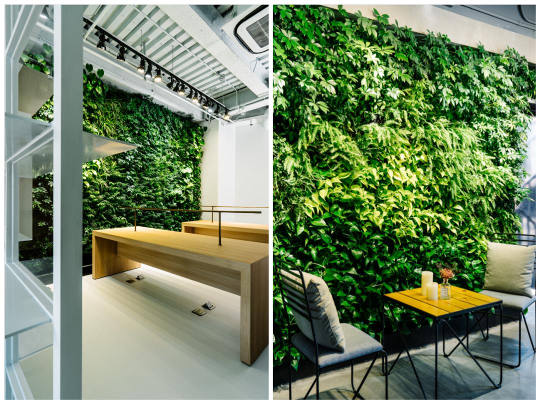 老实说，哥哥们爱起花草来，更疯狂